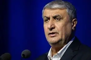 پیام تسلیت رییس سازمان انرژی اتمی در پی درگذشت اشرف بروجردی