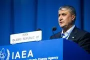 محمد اسلامی: ایران ۱۰ برابر دیگر کشورها مورد بازرسی آژانس قرار می‌گیرد