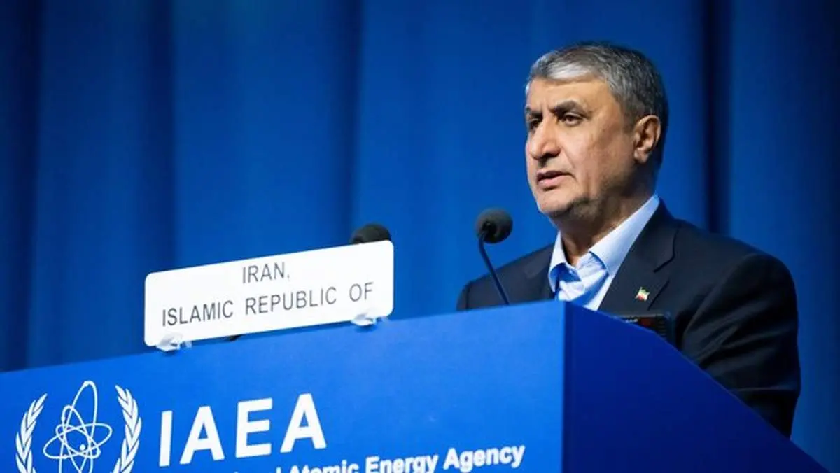 محمد اسلامی: ایران ۱۰ برابر دیگر کشورها مورد بازرسی آژانس قرار میگیرد
