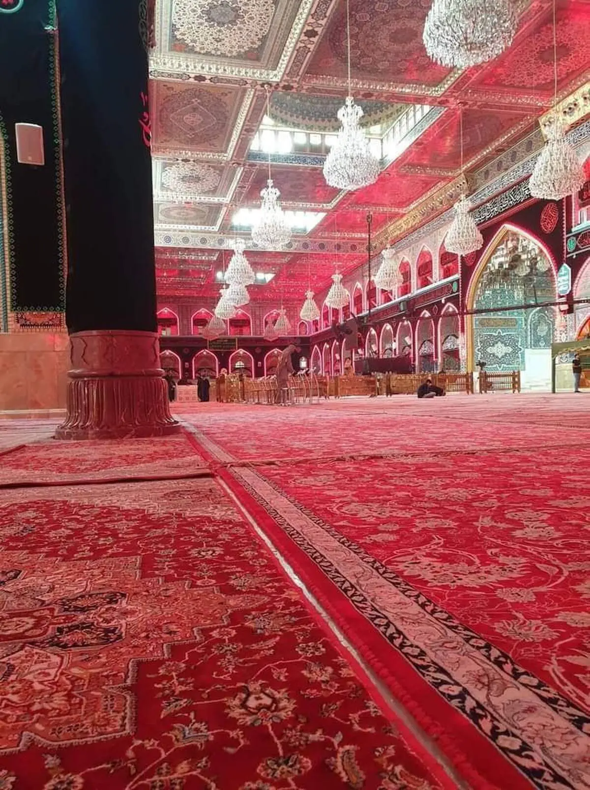 تصویری از اقامه نماز ظهر در حرم امام حسین (ع) در ظهر بحران عراق+ببینید