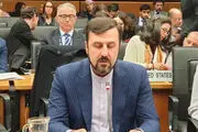 ایران نسبت به بی‌طرف نبودن آژانس بین المللی انرژی اتمی هشدار داد!