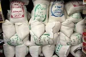 عرضه برنج پاکستانی در بازار با قیمت مصوب 46 هزار تومان