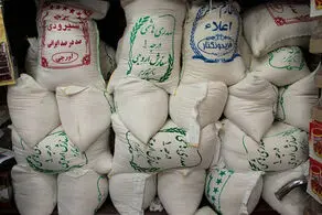 این افراد مقصران اصلی گرانی برنج هستند!