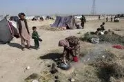اخبار جدید از فیلم منتشر شده در فضای مجازی
