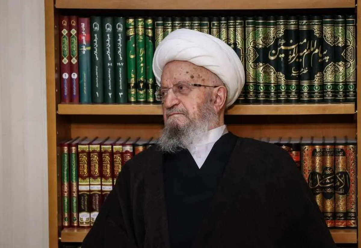  حکم آیت‌الله مکارم شیرازی درباره اجاره رحم زن غیرمسلمان