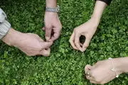 وضعیت آب و هوا برای سیزده‌بدر معلوم شد/ ببینید
