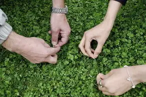 «سیزده‌بدر» واقعا نحس است؟

