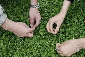 وضعیت آب و هوا برای سیزده‌بدر معلوم شد/ ببینید