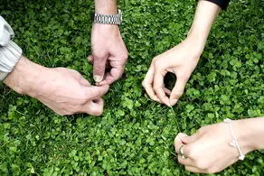 «سیزده‌بدر» واقعا نحس است؟


