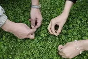 وضعیت آب و هوا برای سیزده‌بدر معلوم شد/ ببینید