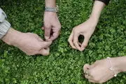 وضعیت آب و هوا برای سیزده‌بدر معلوم شد/ ببینید
