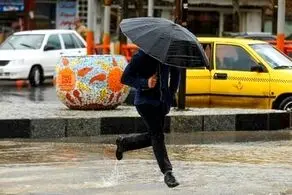 یخبندان بهاره در تهران