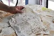 قیمت واقعی نان چقدر است؟