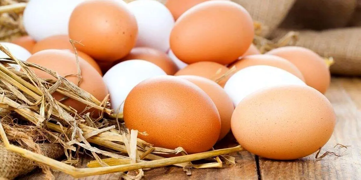 قیمت یک شانه تخم مرغ در بازار چند؟