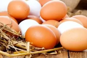 قیمت یک شانه تخم مرغ در بازار چند؟