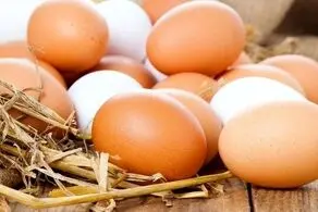 قیمت یک شانه تخم مرغ در بازار چند؟