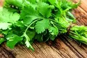 این سبزی تمام باکتری های بدن را نابود می کند!