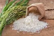 گرانی ادامه دار برنج در بازار + قیمت های جدید