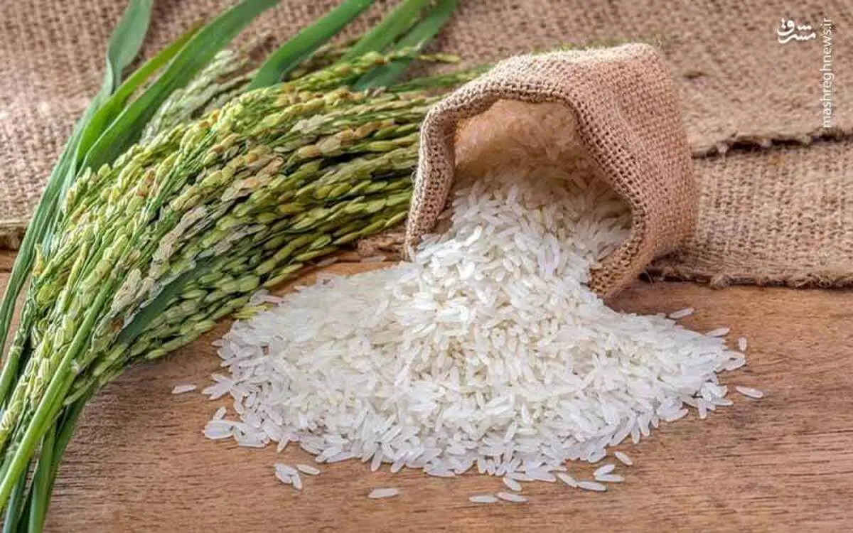 افزایش شدید قیمت برنج ایرانی + قیمت ها