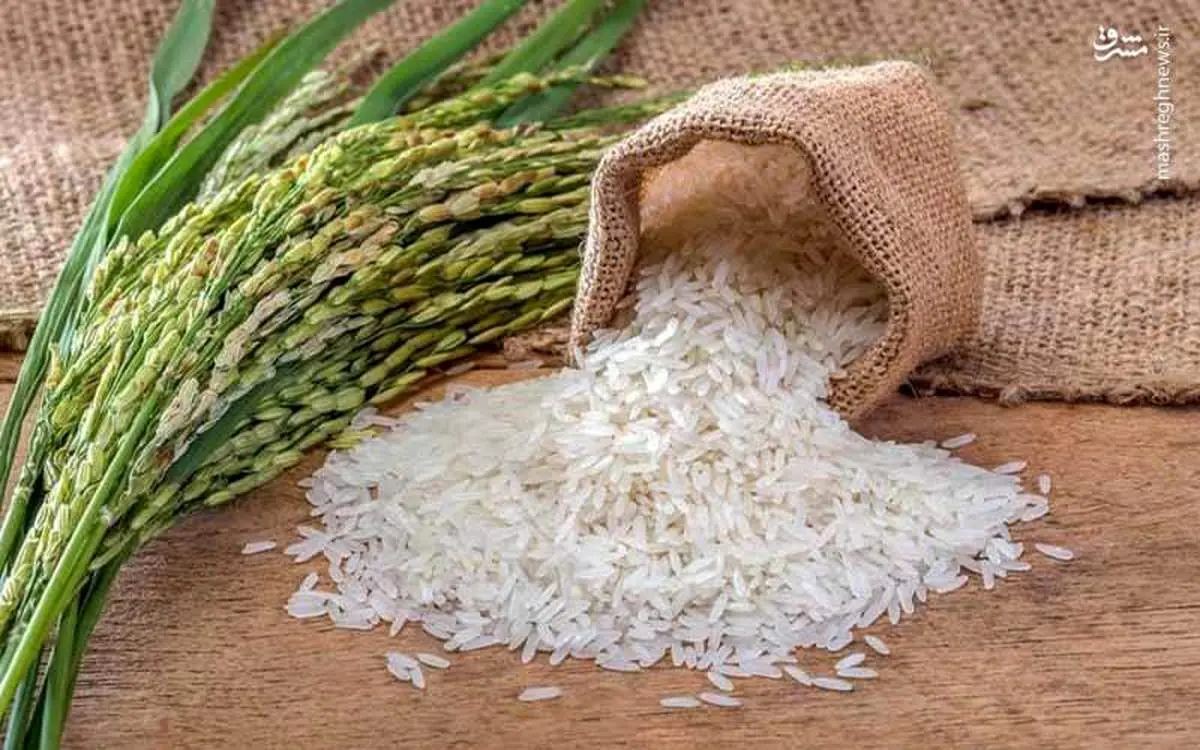 گرانی ادامه دار برنج در بازار + قیمت های جدید