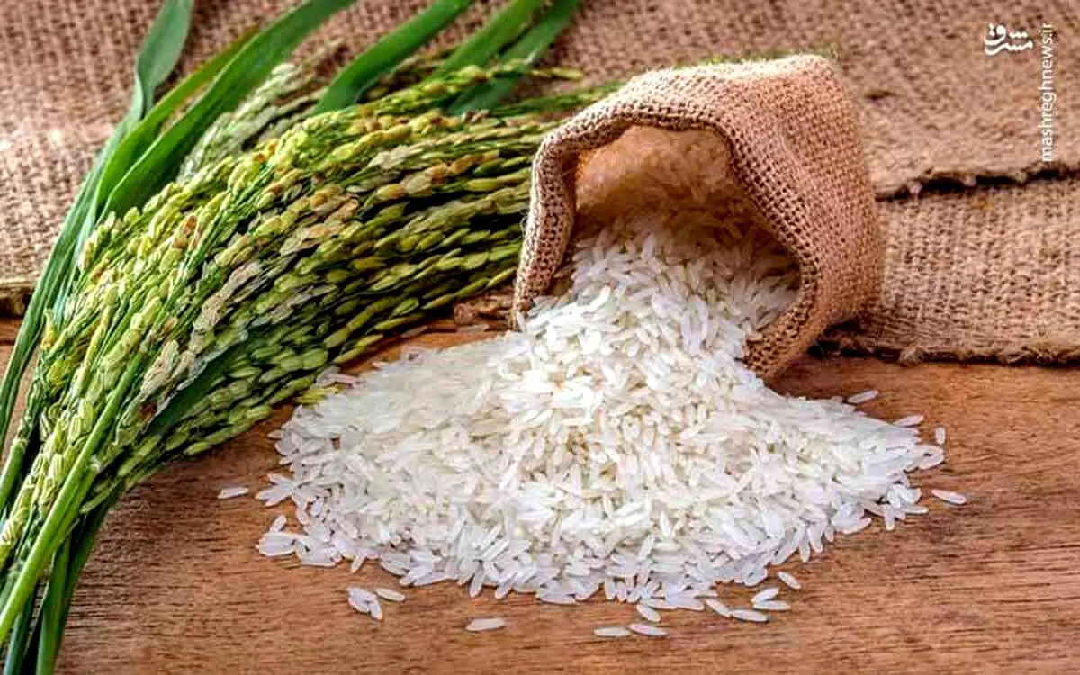 گرانی ادامه دار برنج در بازار + قیمت های جدید