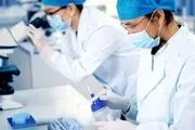 هشدار دانشمندان چینی درباره شیوع یک بیماری خطرناک دیگر غیر از کرونا 