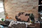 انفجار مهیب در خانه خواننده معروف