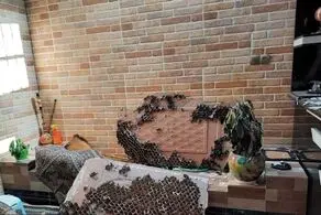 انفجار مهیب در خانه خواننده معروف