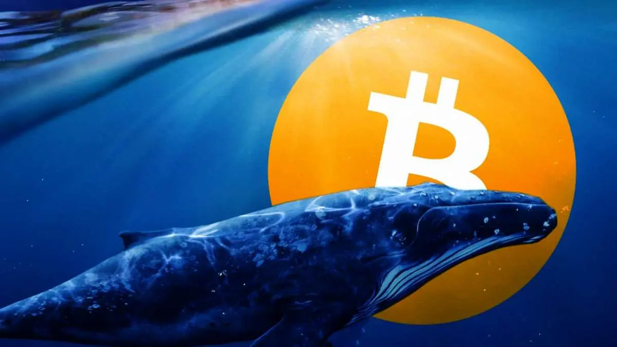 نهنگهای بیت کوین در اوج قیمت بیش از ۱۴۰,۰۰۰ بیت کوین فروختهاند