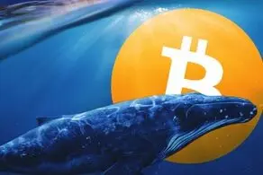 نهنگ‌های بیت کوین در اوج قیمت بیش از ۱۴۰,۰۰۰ بیت کوین فروخته‌اند