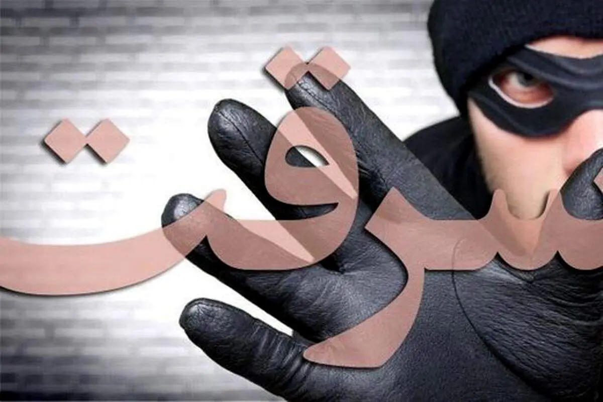 سارقان با بیل مکانیکی بانک را شخم زدند!+فیلم