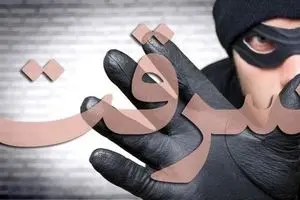 سارق به کاهدان زد؛عاقبت زورگیری از پلیس مخفی/ ببینید