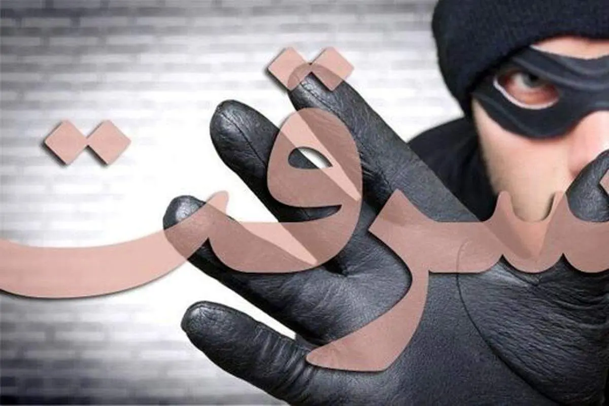دزدی 30 ثانیه‌ای زن باکلاس!+فیلم