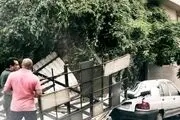 شروع طوفان در تهران/ کاهش محسوس دمای و سرمای شدید از امشب تا جمعه
