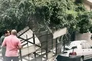 شروع طوفان در تهران/ کاهش محسوس دمای و سرمای شدید از امشب تا جمعه