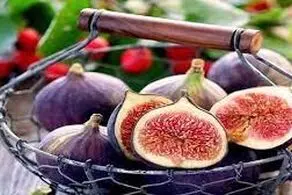 چرا باید انجیر را با گردو بخوریم؟