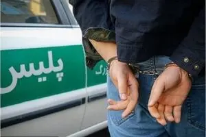 مرد متجاوز با ترفند اجاره رحم به سراغ زنان تنها و بی‌پول می‌رفت!