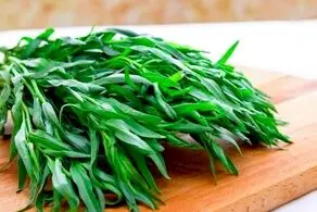 گیاهی برای ضدعفونی کردن کامل بدن 