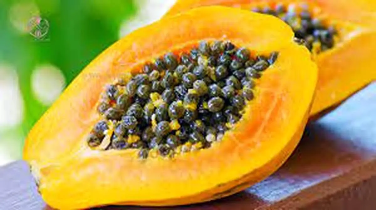 غذای عالی و کم کالری برای لاغری