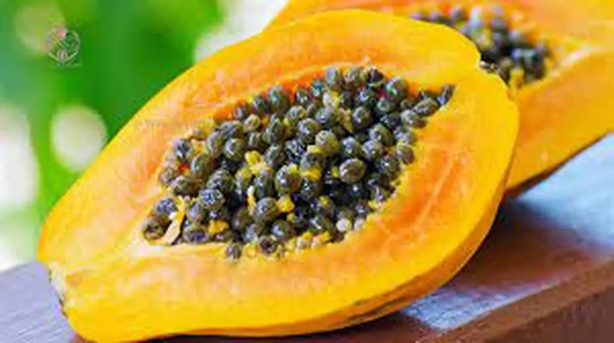 غذای عالی و کم کالری برای لاغری