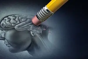 آیا خاطرات را می‌توان خورد؟