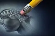 آیا خاطرات را می‌توان خورد؟