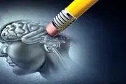 آیا خاطرات را می‌توان خورد؟