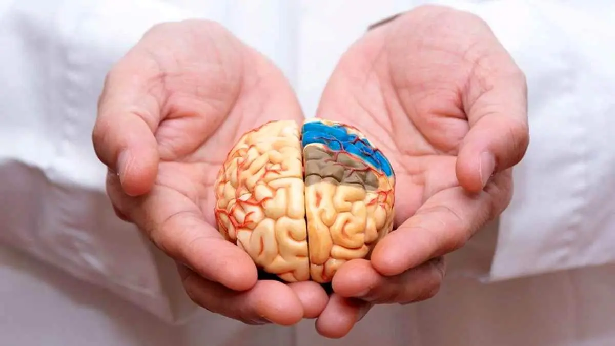 تکنیکهایی برای تقویت حافظه