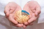 تکنیک‌هایی برای تقویت حافظه