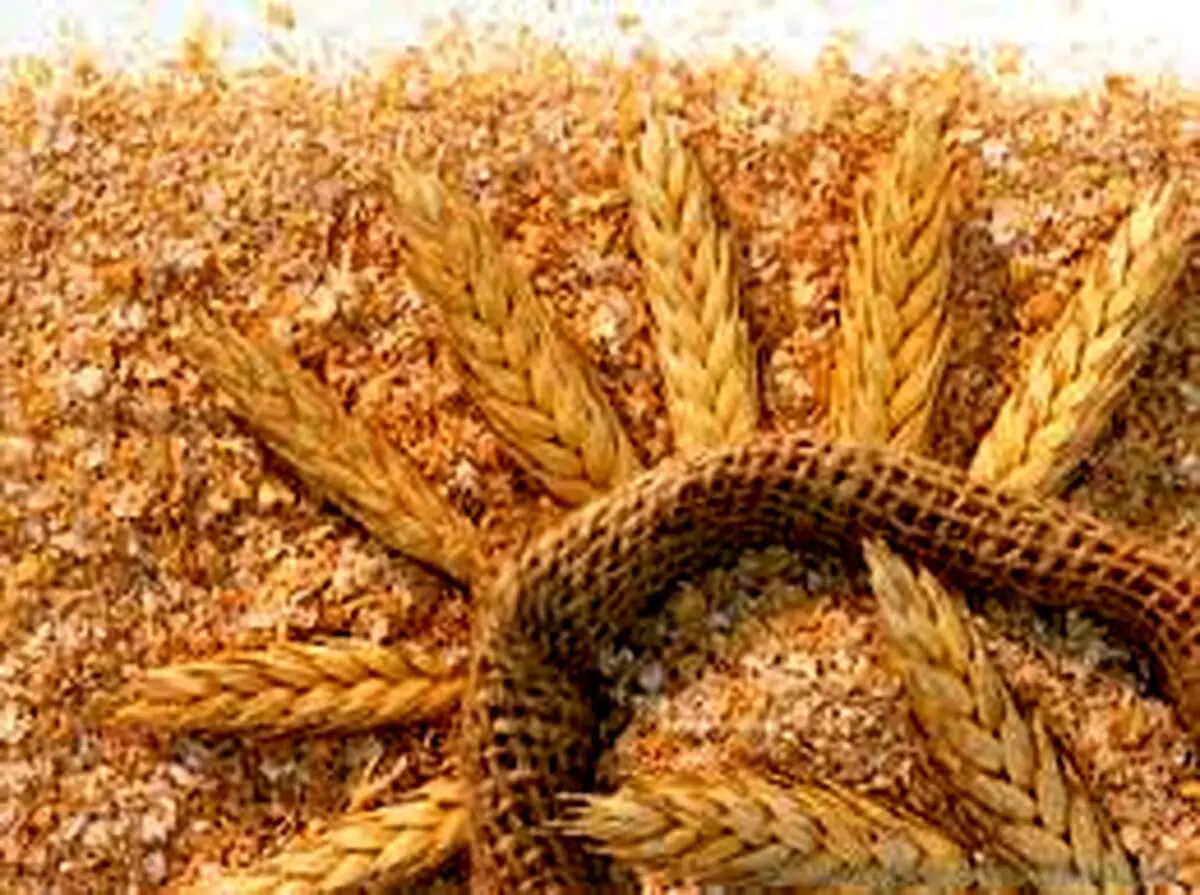 قیمت جدید سبوس اعلام شد