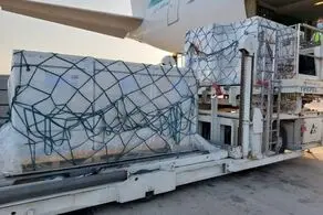 تداوم واردات واکسن کرونا از مبدا ژاپن و چین به ایران