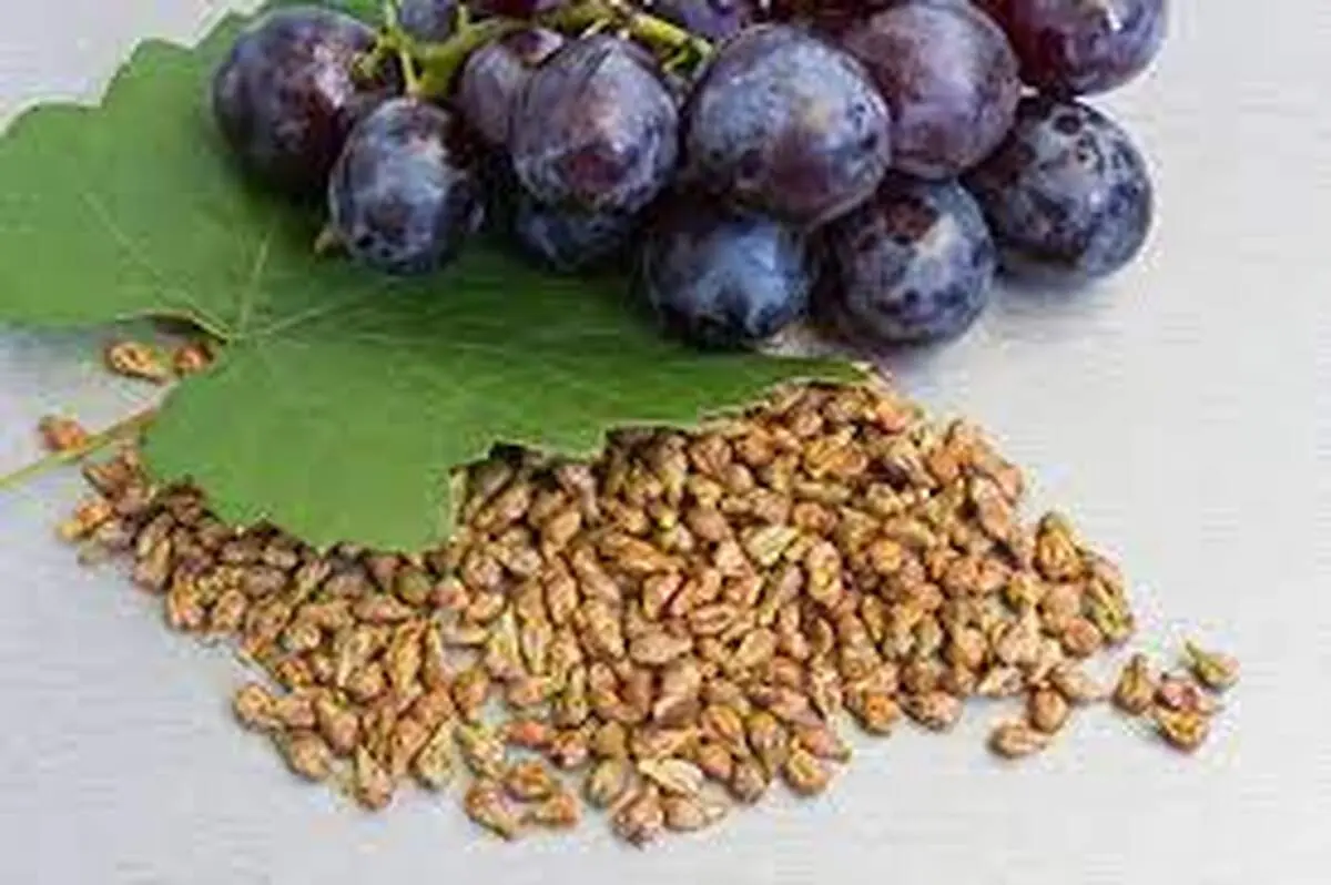 افزایش طول عمر با این ماده غذایی!
