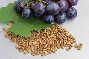 افزایش طول عمر با این ماده غذایی!
