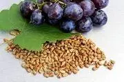 افزایش طول عمر با این ماده غذایی!
